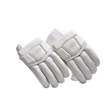 Spartan MSD Edition Cricket Gloves