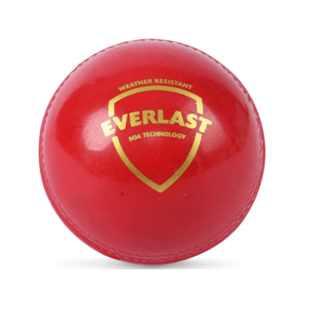 SG Everlast synthetic cricket ball