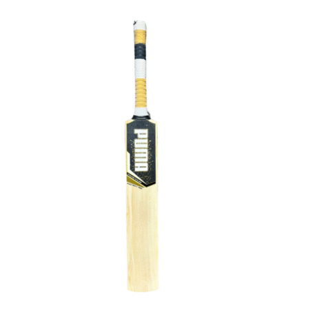 Puma Electrify Pro English Willow Cricket Bat Size SH