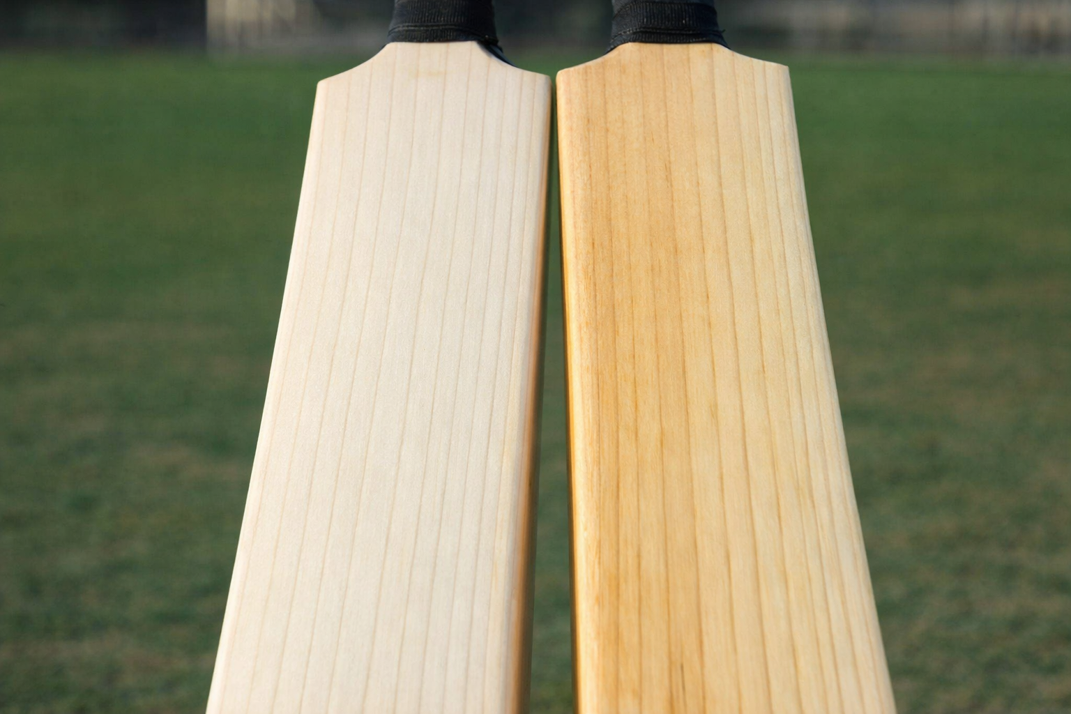 English willow vs Kashmir willow cricket bat comparison showing wood grain difference