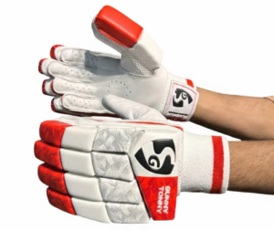 Cricket Batting Gloves a1
