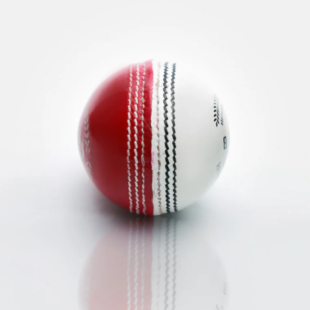 Gortonshire Red and White Leather Cricket Ball for Practice
