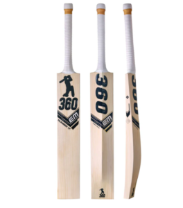 Cricket Bat w1